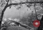 Standbild Forest Fire New Mexico United States USA, 1951, aus Sekunde 35 historischem Filmmaterial Videoclip 65675025743