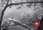 Standbild Forest Fire New Mexico United States USA, 1951, aus Sekunde 36 historischem Filmmaterial Videoclip 65675025743