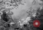 Standbild Forest Fire New Mexico United States USA, 1951, aus Sekunde 37 historischem Filmmaterial Videoclip 65675025743