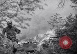 Standbild Forest Fire New Mexico United States USA, 1951, aus Sekunde 38 historischem Filmmaterial Videoclip 65675025743