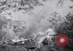 Standbild Forest Fire New Mexico United States USA, 1951, aus Sekunde 39 historischem Filmmaterial Videoclip 65675025743