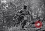 Standbild Forest Fire New Mexico United States USA, 1951, aus Sekunde 40 historischem Filmmaterial Videoclip 65675025743