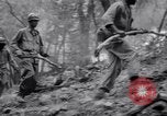 Standbild Forest Fire New Mexico United States USA, 1951, aus Sekunde 41 historischem Filmmaterial Videoclip 65675025743