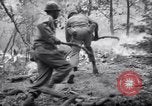 Standbild Forest Fire New Mexico United States USA, 1951, aus Sekunde 43 historischem Filmmaterial Videoclip 65675025743