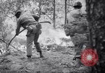 Standbild Forest Fire New Mexico United States USA, 1951, aus Sekunde 44 historischem Filmmaterial Videoclip 65675025743