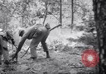 Standbild Forest Fire New Mexico United States USA, 1951, aus Sekunde 45 historischem Filmmaterial Videoclip 65675025743