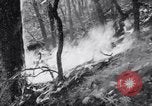 Standbild Forest Fire New Mexico United States USA, 1951, aus Sekunde 46 historischem Filmmaterial Videoclip 65675025743