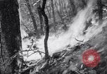 Standbild Forest Fire New Mexico United States USA, 1951, aus Sekunde 47 historischem Filmmaterial Videoclip 65675025743