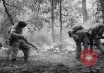 Standbild Forest Fire New Mexico United States USA, 1951, aus Sekunde 49 historischem Filmmaterial Videoclip 65675025743