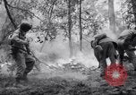 Standbild Forest Fire New Mexico United States USA, 1951, aus Sekunde 50 historischem Filmmaterial Videoclip 65675025743