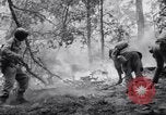 Standbild Forest Fire New Mexico United States USA, 1951, aus Sekunde 51 historischem Filmmaterial Videoclip 65675025743