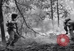 Standbild Forest Fire New Mexico United States USA, 1951, aus Sekunde 52 historischem Filmmaterial Videoclip 65675025743