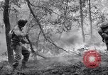 Standbild Forest Fire New Mexico United States USA, 1951, aus Sekunde 53 historischem Filmmaterial Videoclip 65675025743