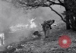 Standbild Forest Fire New Mexico United States USA, 1951, aus Sekunde 54 historischem Filmmaterial Videoclip 65675025743