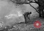 Standbild Forest Fire New Mexico United States USA, 1951, aus Sekunde 55 historischem Filmmaterial Videoclip 65675025743