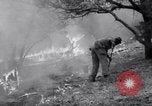 Standbild Forest Fire New Mexico United States USA, 1951, aus Sekunde 56 historischem Filmmaterial Videoclip 65675025743
