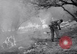 Standbild Forest Fire New Mexico United States USA, 1951, aus Sekunde 57 historischem Filmmaterial Videoclip 65675025743