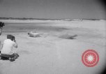 Standbild Sand-hobeln auf Long Island beach Long Island New York USA, 1951, aus Sekunde 54 historischem Filmmaterial Videoclip 65675025746