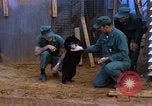 Standbild American MCB-10 Chu Lai Vietnam, 1965, aus Sekunde 56 historischem Filmmaterial Videoclip 65675025752