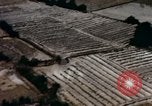 Immagine di Divisione Americal Chu Lai Vietnam, 1967, secondo 44 filmato di repertorio 65675025760