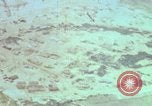 Immagine di Marines Duc Pho Vietnam, 1967, secondo 31 filmato di repertorio 65675025769