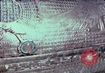 Standbild Tutanchamun gold Stuhl Ägypten, 1951, aus Sekunde 32 historischem Filmmaterial Videoclip 65675025774