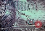 Standbild Tutanchamun gold Stuhl Ägypten, 1951, aus Sekunde 38 historischem Filmmaterial Videoclip 65675025774