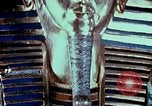 Standbild Tutanchamun gold Stuhl Ägypten, 1951, aus Sekunde 57 historischem Filmmaterial Videoclip 65675025774