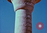 Standbild antiken Zivilisation Ägypten, 1951, aus Sekunde 39 historischem Filmmaterial Videoclip 65675025776