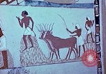 Image of ancient civilization Egypt, 1951, second 4 stock footage video 65675025777