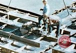 Image of Assembly of bulkhead on Liberty ship  California United States USA, 1942, second 61 stock footage video 65675025798