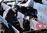 Image of Welders install piping in double bottom of Liberty ship in World War 2 California United States USA, 1942, second 46 stock footage video 65675025802