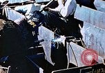 Image of Welders install piping in double bottom of Liberty ship in World War 2 California United States USA, 1942, second 47 stock footage video 65675025802