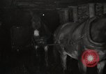 Image of Anthracite coal mine coal removal United States USA, 1922, second 13 stock footage video 65675025809
