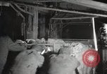 Image of Anthracite coal mine coal removal United States USA, 1922, second 36 stock footage video 65675025809