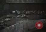 Image of coal mining separation from other rock United States USA, 1922, second 43 stock footage video 65675025810