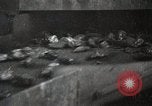 Image of coal mining separation from other rock United States USA, 1922, second 45 stock footage video 65675025810