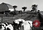 Immagine di Fattoria Michigan United States USA, 1941, secondo 10 filmato di repertorio 65675025813