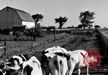 Immagine di Fattoria Michigan United States USA, 1941, secondo 11 filmato di repertorio 65675025813