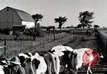 Immagine di Fattoria Michigan United States USA, 1941, secondo 12 filmato di repertorio 65675025813
