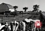 Immagine di Fattoria Michigan United States USA, 1941, secondo 13 filmato di repertorio 65675025813