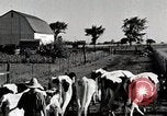 Immagine di Fattoria Michigan United States USA, 1941, secondo 14 filmato di repertorio 65675025813