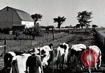 Immagine di Fattoria Michigan United States USA, 1941, secondo 15 filmato di repertorio 65675025813