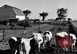 Immagine di Fattoria Michigan United States USA, 1941, secondo 16 filmato di repertorio 65675025813