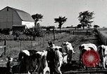 Immagine di Fattoria Michigan United States USA, 1941, secondo 17 filmato di repertorio 65675025813