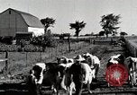 Immagine di Fattoria Michigan United States USA, 1941, secondo 18 filmato di repertorio 65675025813