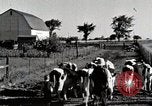 Immagine di Fattoria Michigan United States USA, 1941, secondo 19 filmato di repertorio 65675025813