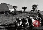 Immagine di Fattoria Michigan United States USA, 1941, secondo 20 filmato di repertorio 65675025813