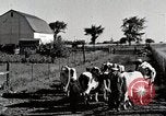 Immagine di Fattoria Michigan United States USA, 1941, secondo 21 filmato di repertorio 65675025813