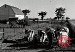 Immagine di Fattoria Michigan United States USA, 1941, secondo 22 filmato di repertorio 65675025813
